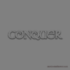 Conquer Motivational Silicone Bracelet, grey